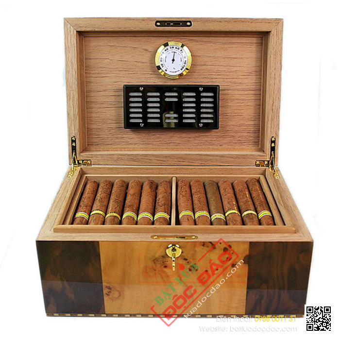 Tủ bảo quản cigar mini RAG912  Cohiba